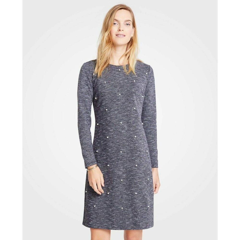Ann Taylor Shift Dress 8 Pearlized Long Sleeve